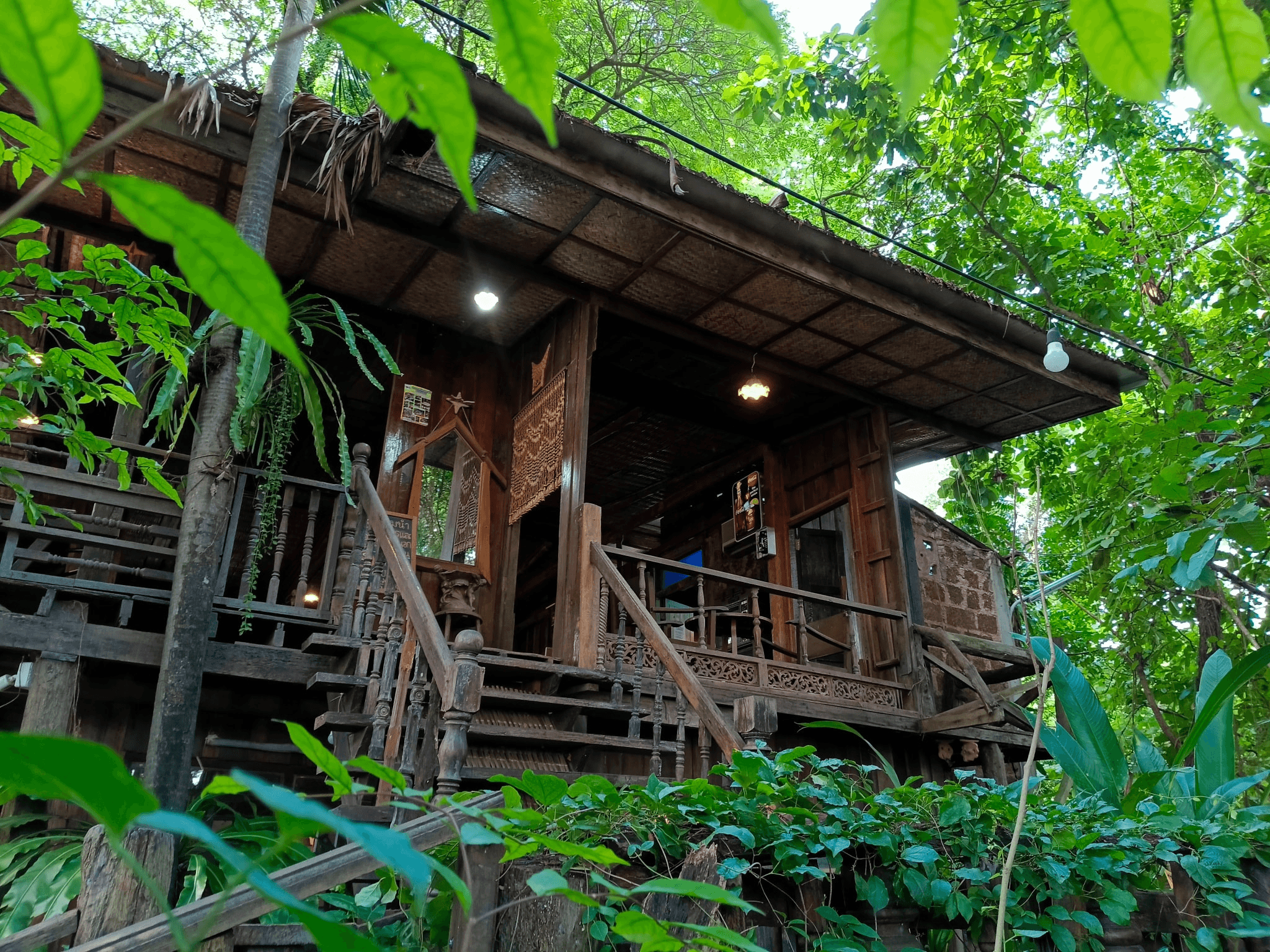 ป่ากลางเมือง Café & Co-Working Space